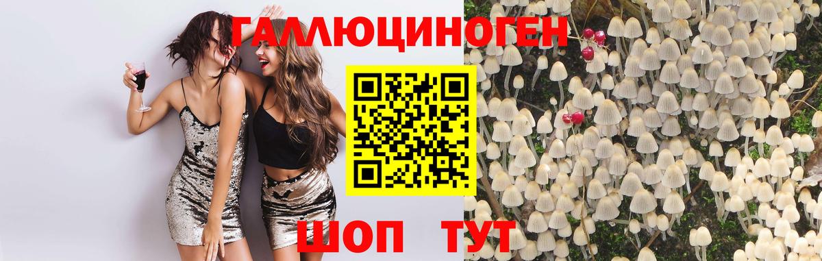 дарнет шоп  Вход с VPN  Мелеуз  Галлюциногенные грибы Psilocybe 